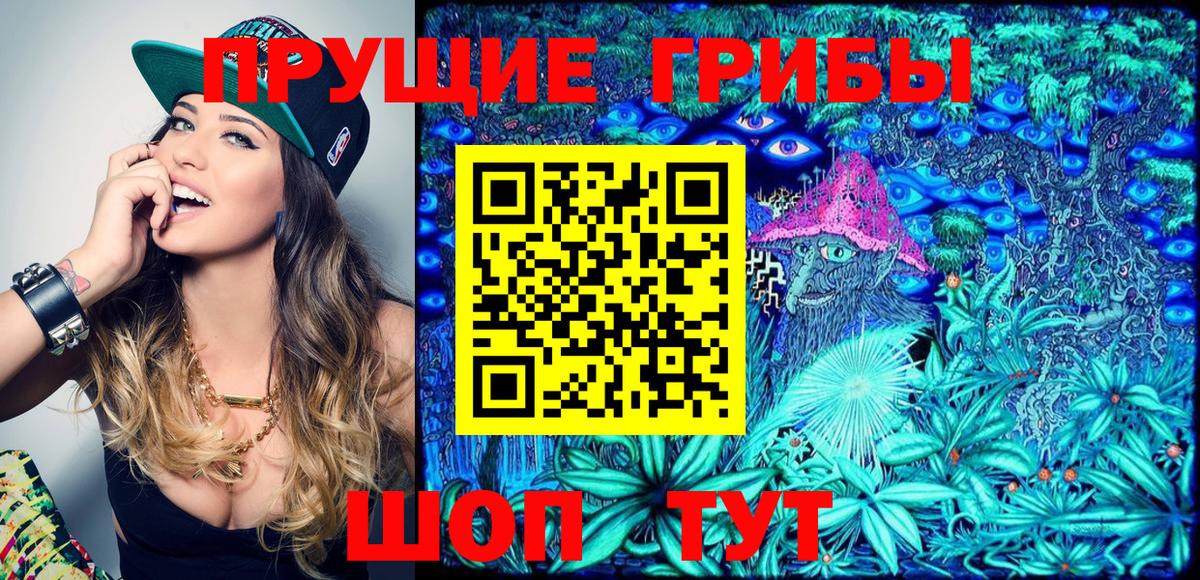 Псилоцибиновые грибы Psilocybe Кудрово