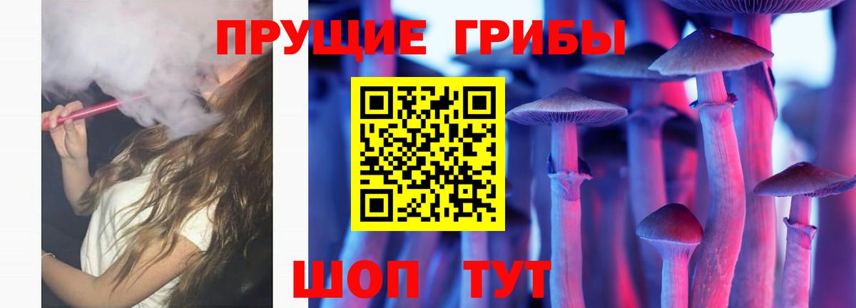 Галлюциногенные грибы Magic Shrooms  Вход с VPN  закладки  Кудрово  Галлюциногенные грибы Magic Shrooms 
